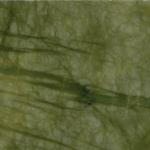 ming green